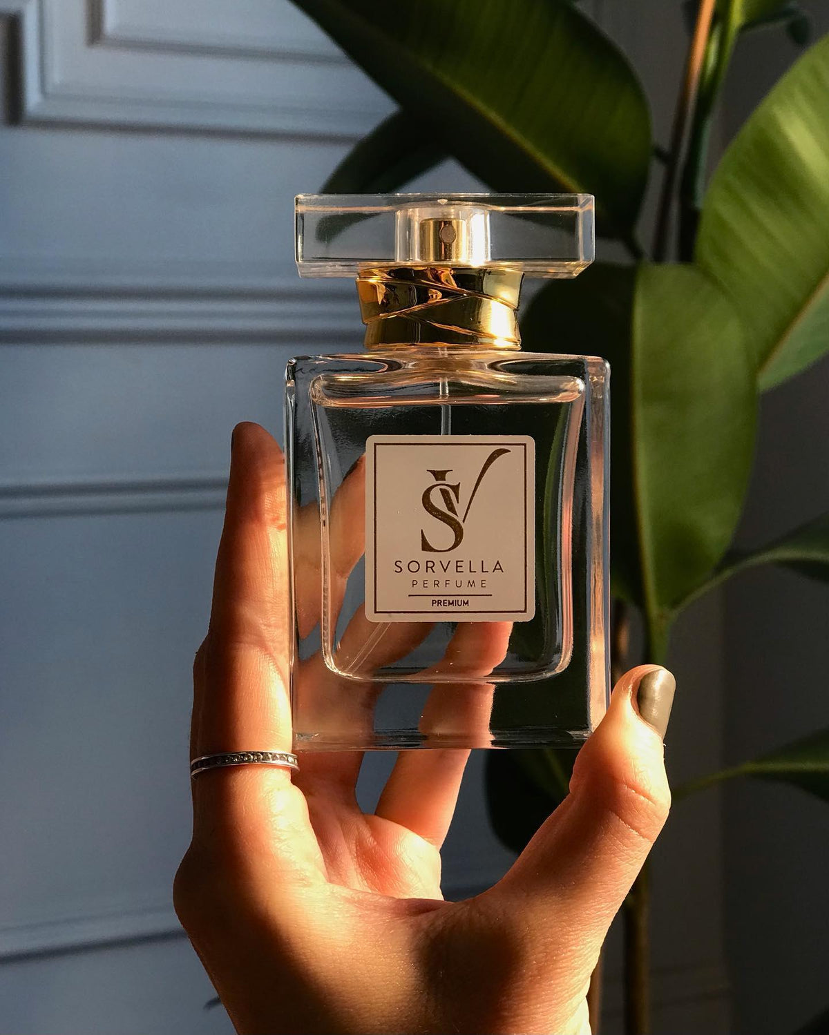 Jakie są najseksowniejsze perfumy damskie? - sorvellaperfume.pl